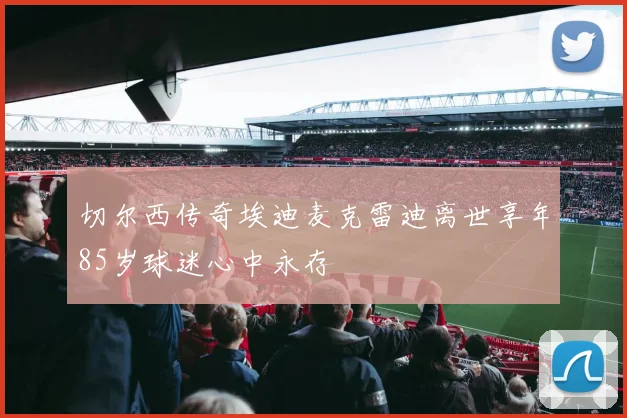 切尔西传奇埃迪麦克雷迪离世享年85岁球迷心中永存