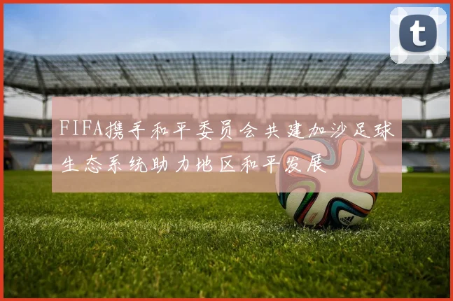 FIFA携手和平委员会共建加沙足球生态系统助力地区和平发展