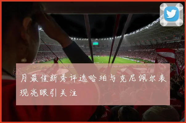 月最佳新秀评选哈珀与克尼佩尔表现亮眼引关注